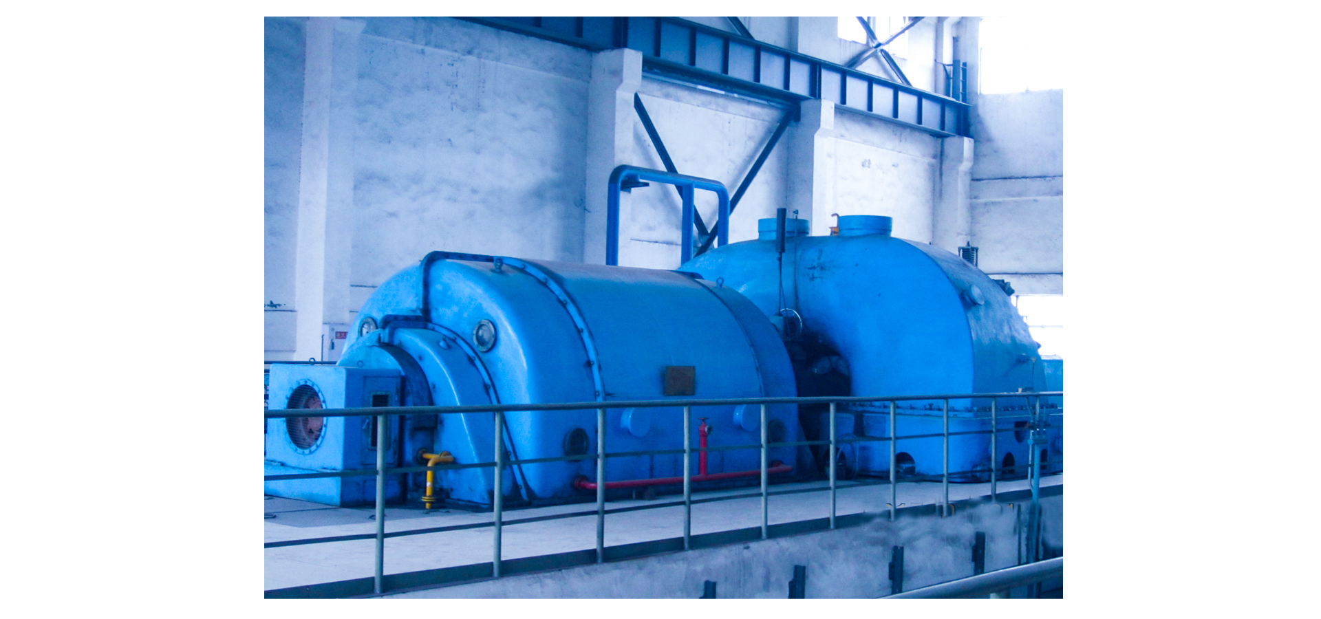 Strategies to Overcome Operational Issues of Biomass-Fired Boilers in Island Settings